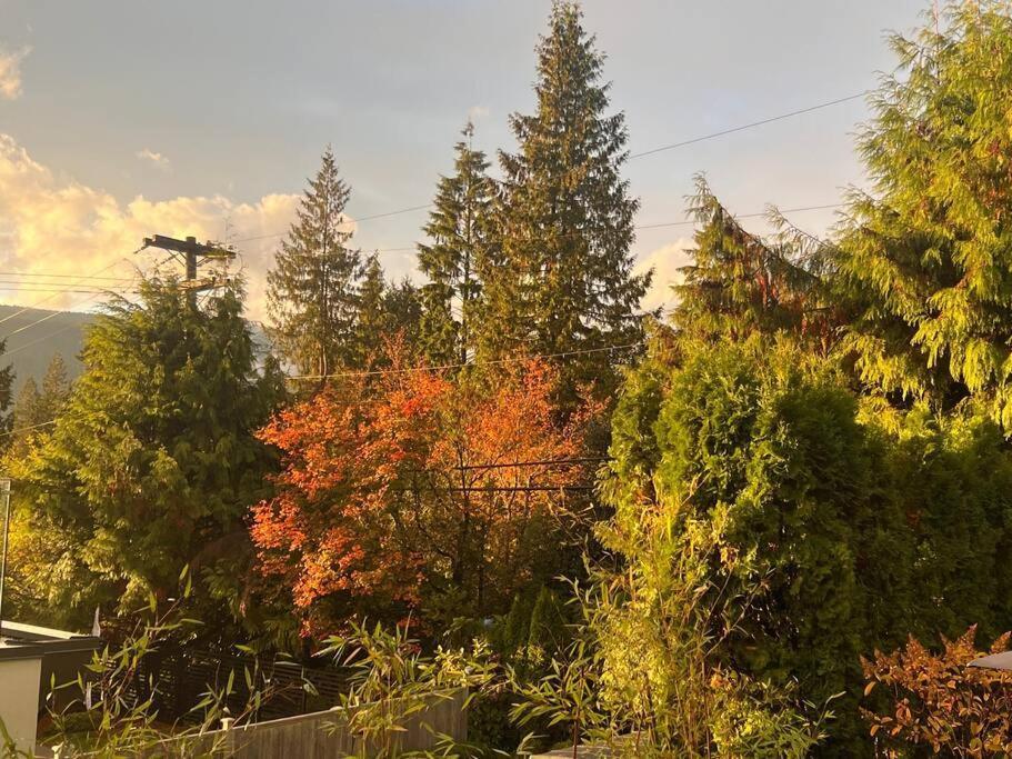 'Canyon Heights' Retreat North Vancouver Exterior photo